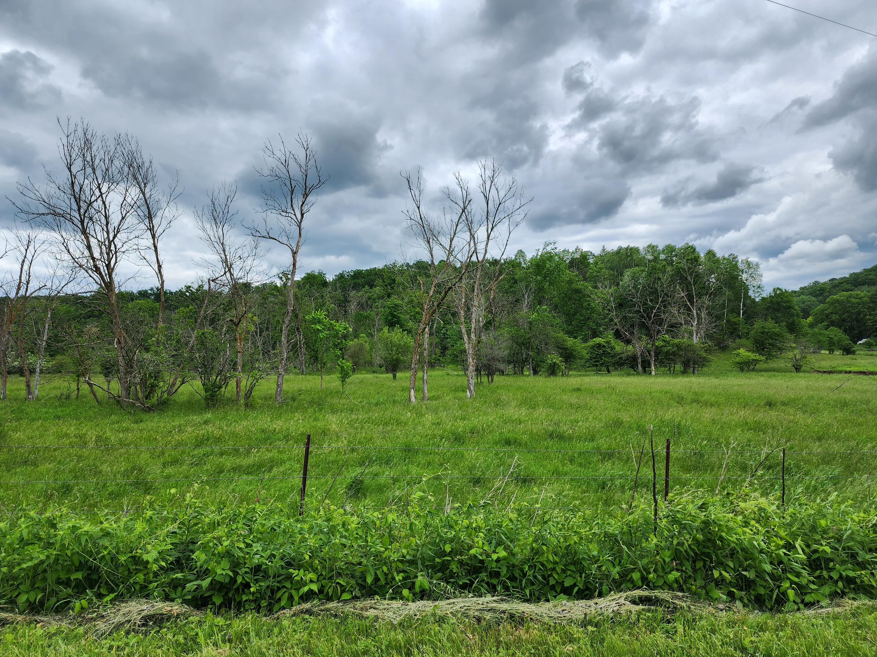 0 Niagara Sheldon WI 54648 1878541 image1