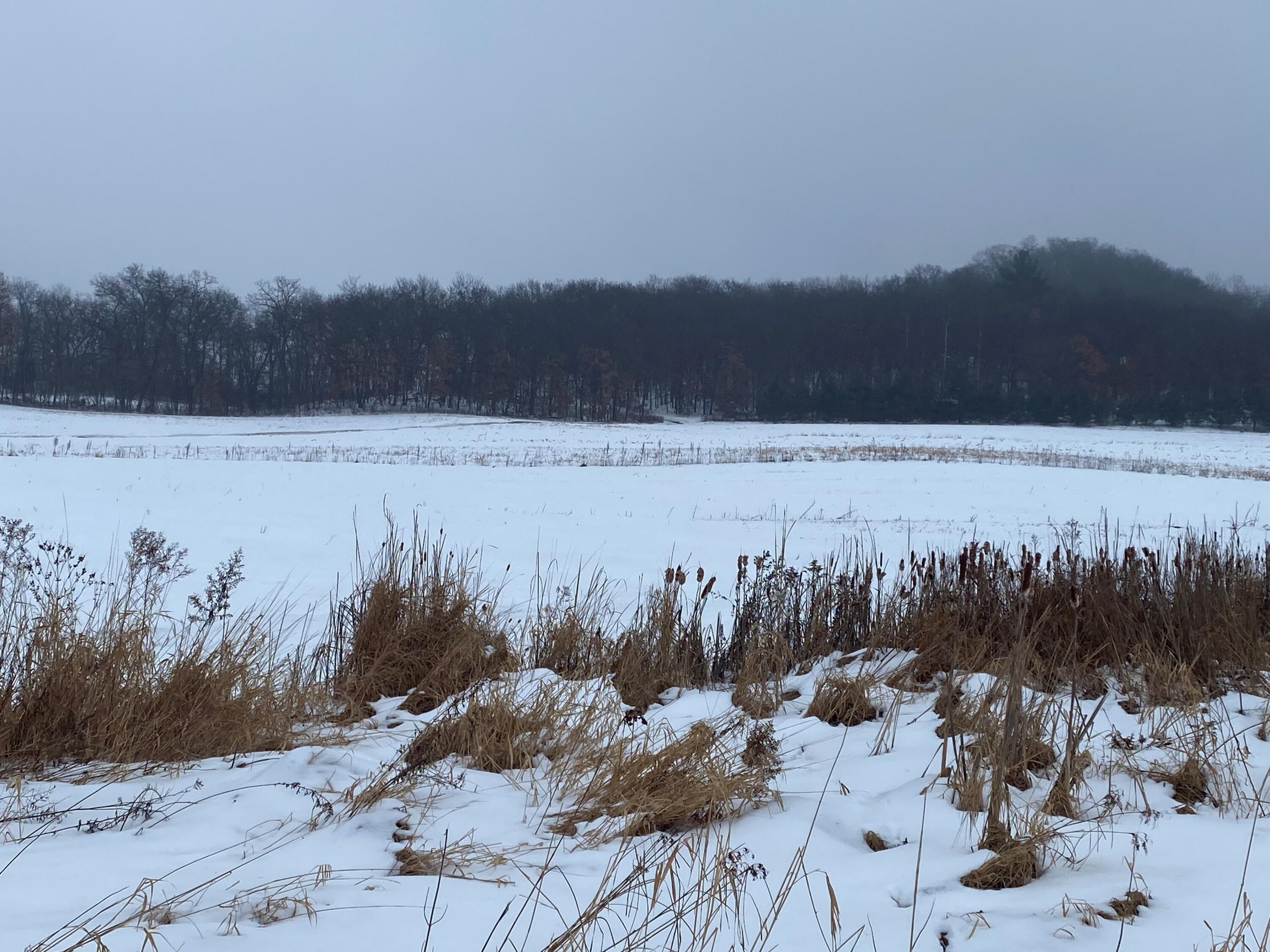 0 Niedfeldt Burns WI 54614 1863204 image1