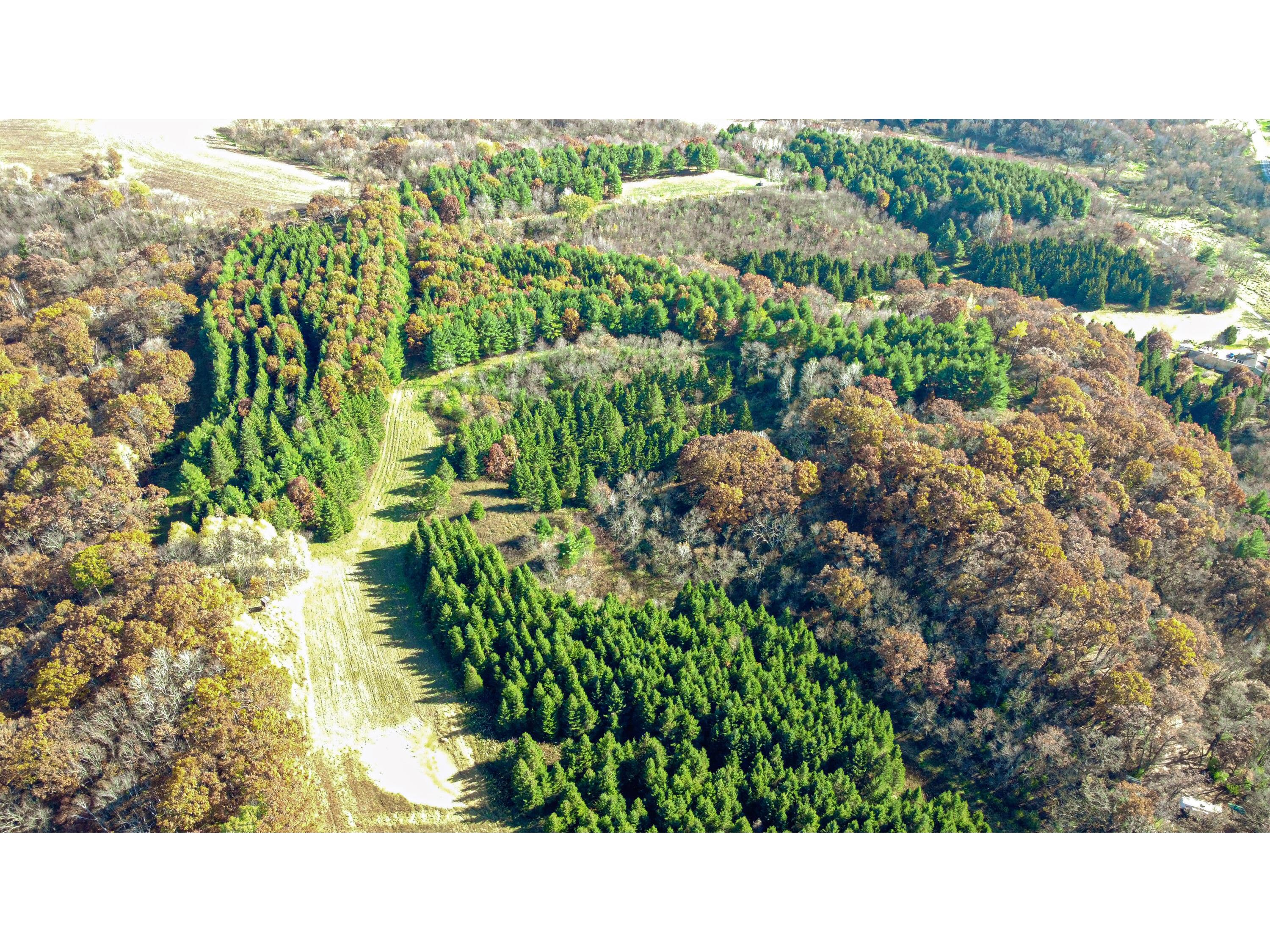 0 Nyen Preston WI 54616 1901330 image1