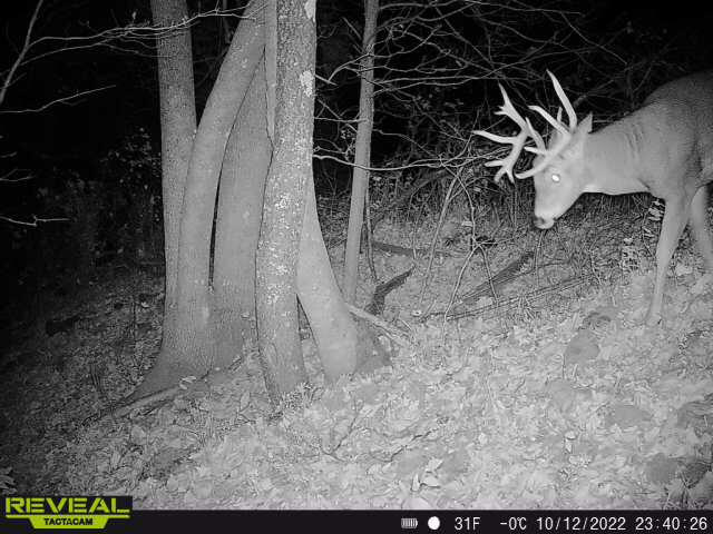 0 Orbit Ave Sheldon WI 54651 1794693 image1