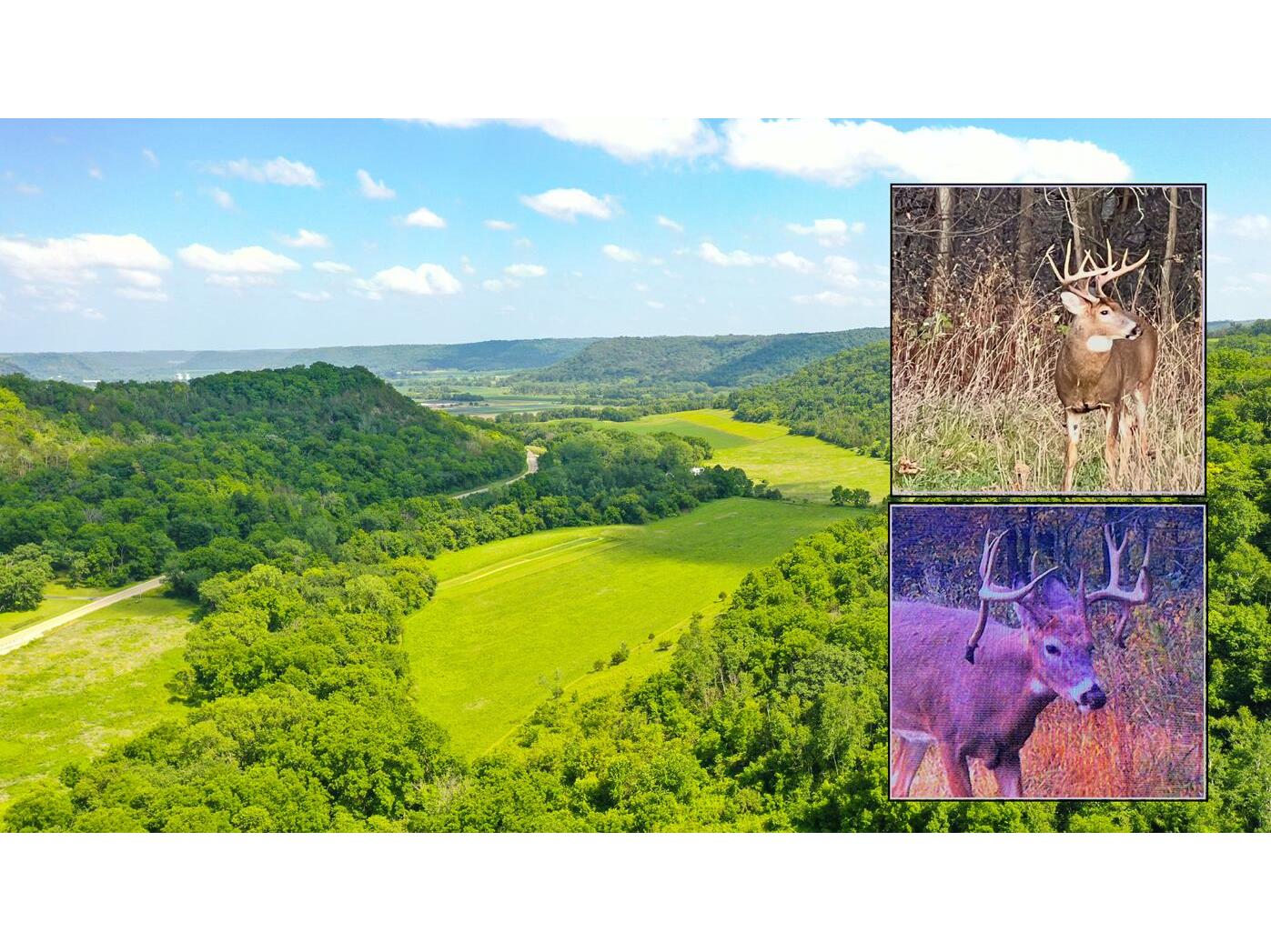 0 State 30 Rushford MN 55971 1970701 image1