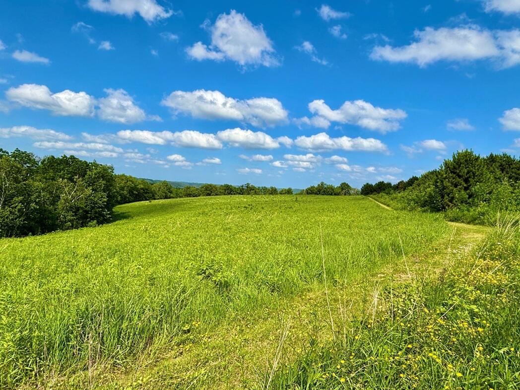 0 State 30 Rushford MN 55971 1970701 image12