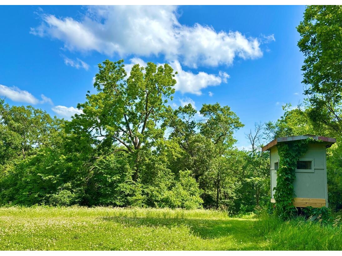 0 State 30 Rushford MN 55971 1970701 image14