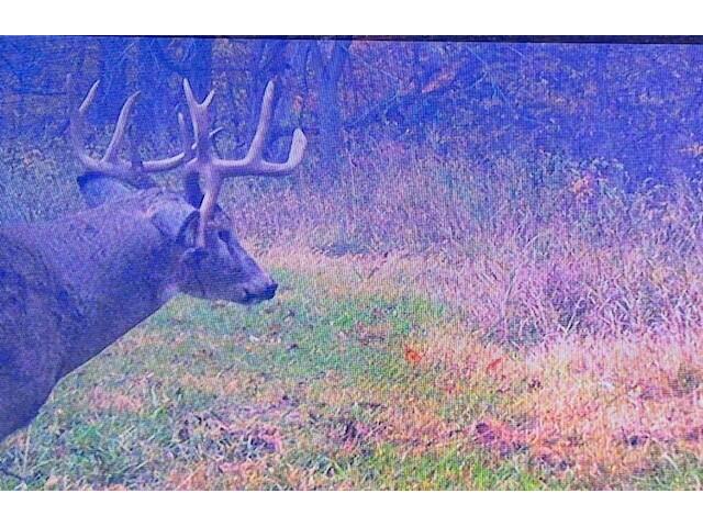 0 State 30 Rushford MN 55971 1970701 image15