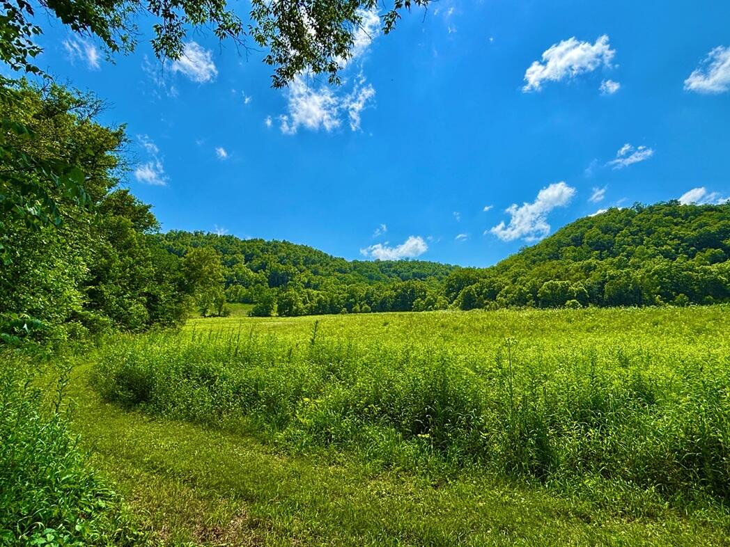 0 State 30 Rushford MN 55971 1970701 image16