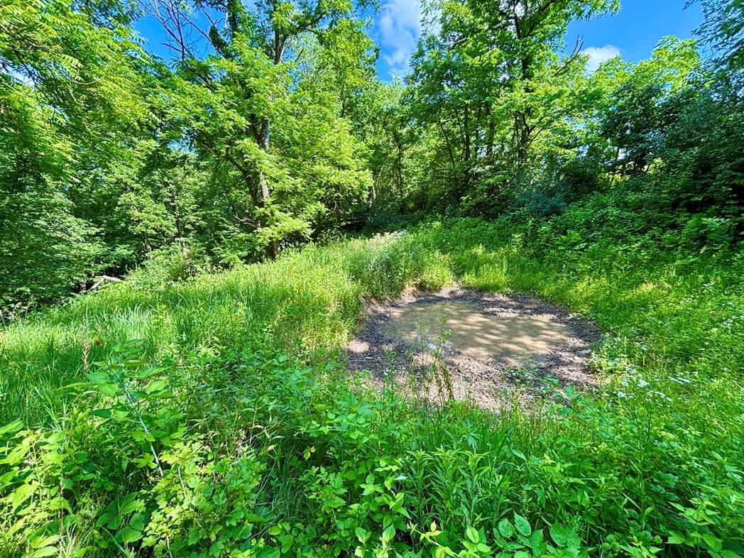 0 State 30 Rushford MN 55971 1970701 image34