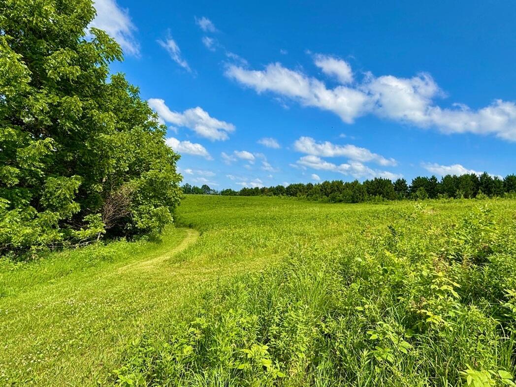 0 State 30 Rushford MN 55971 1970701 image47