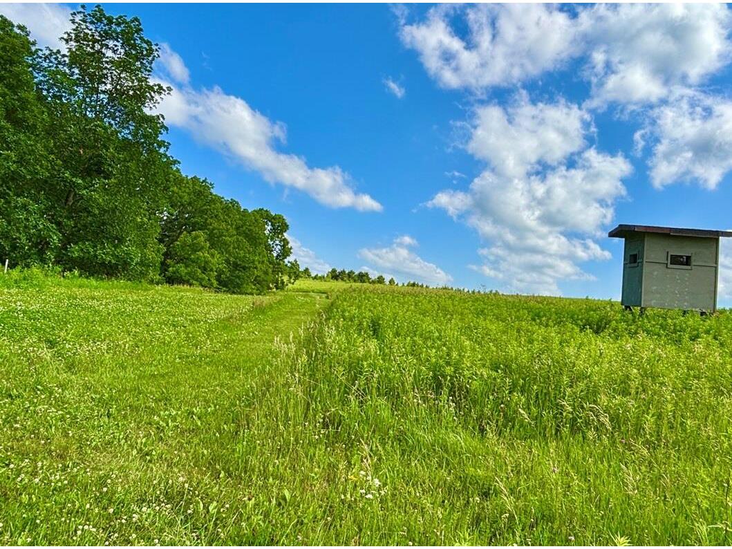 0 State 30 Rushford MN 55971 1970701 image48