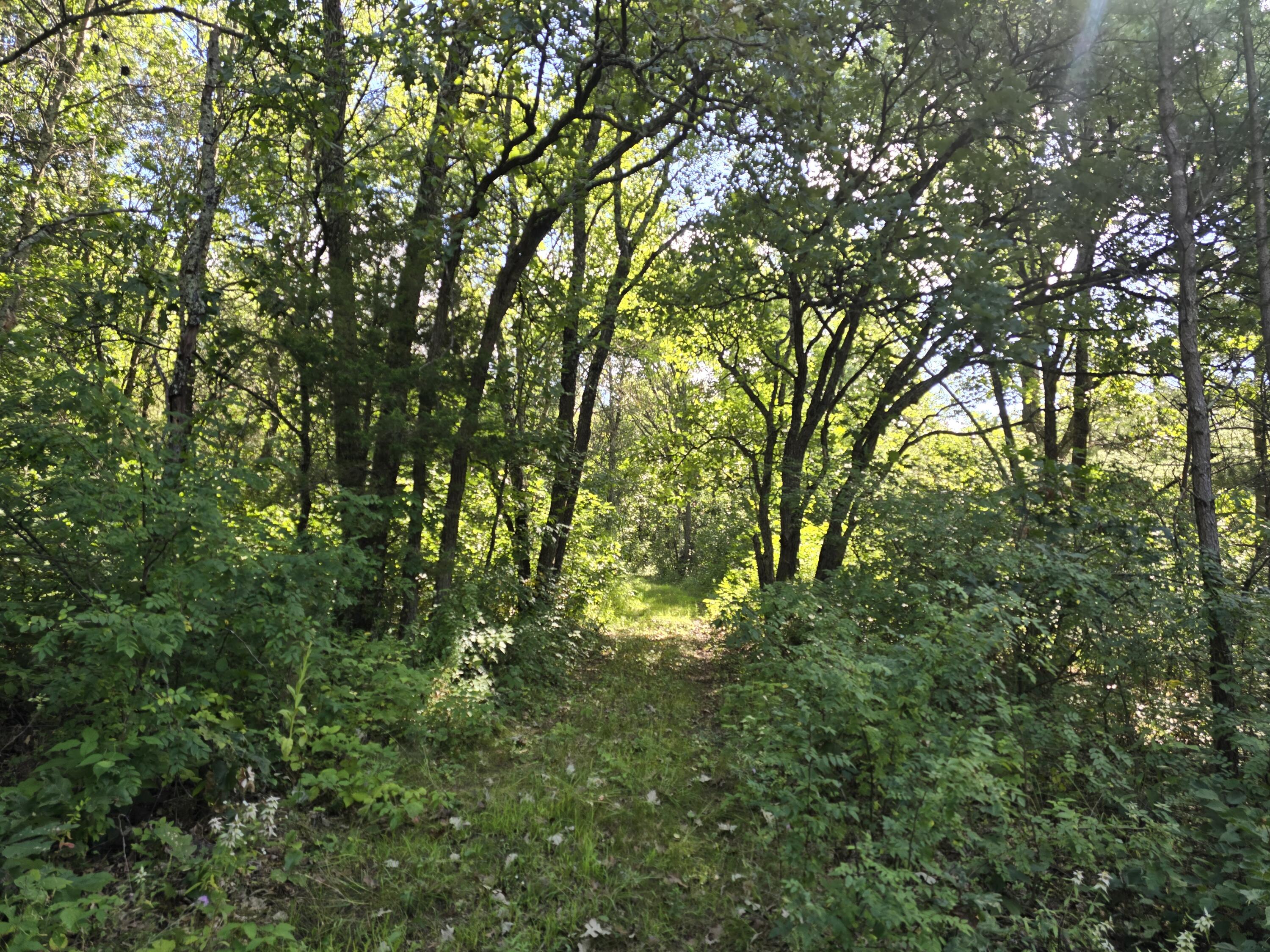 0 State Highway 27 Little Falls WI 54656 1932424 image1