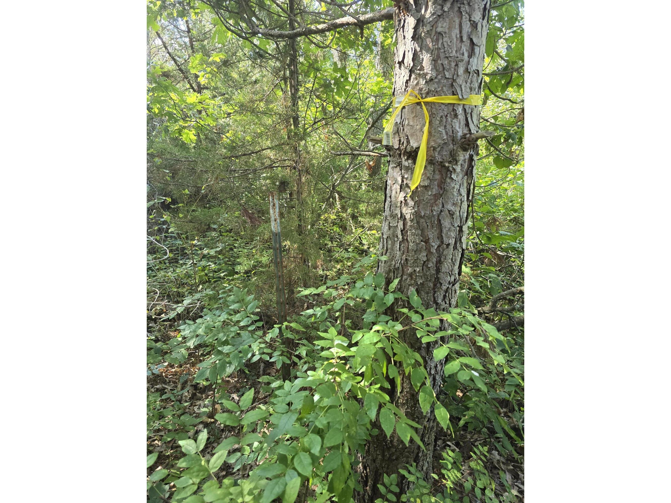 0 State Highway 27 Little Falls WI 54656 1932424 image5