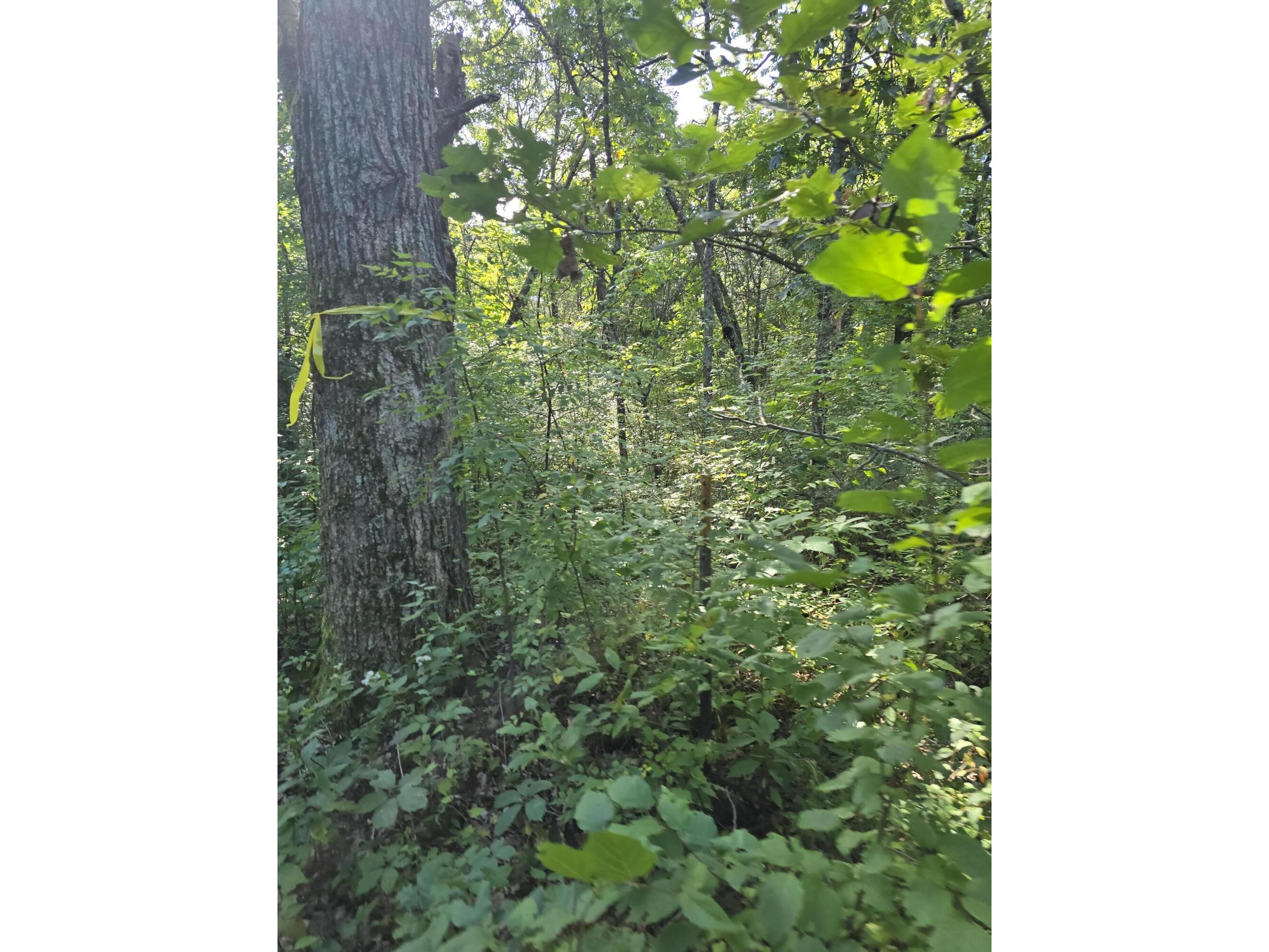 0 State Highway 27 Little Falls WI 54656 1932424 image6