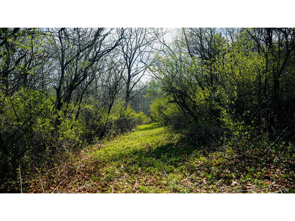 0 State Hwy 56 Viroqua WI 54665 1959547 image10