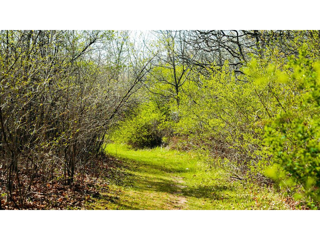 0 State Hwy 56 Viroqua WI 54665 1959547 image2