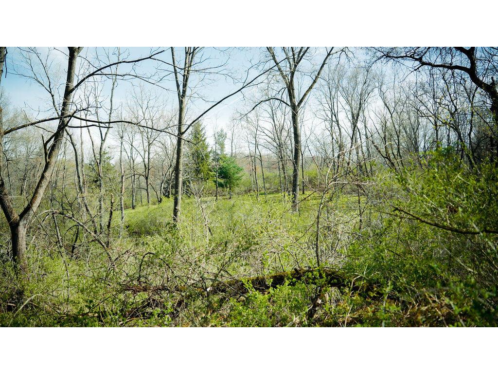 0 State Hwy 56 Viroqua WI 54665 1959547 image70