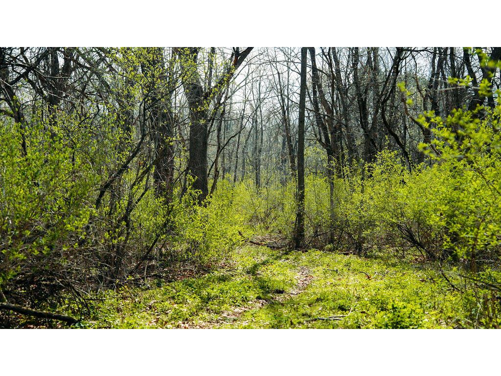 0 State Hwy 56 Viroqua WI 54665 1959547 image73