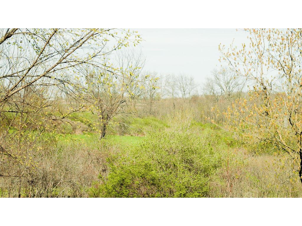 0 State Hwy 56 Viroqua WI 54665 1959547 image75
