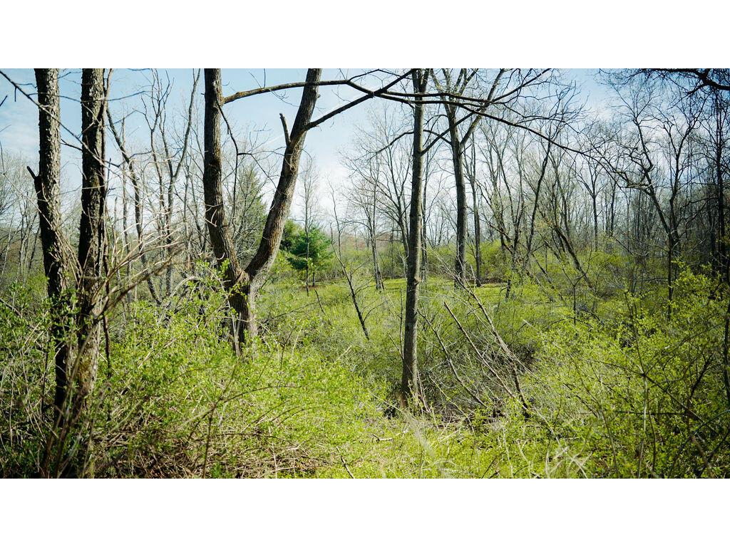 0 State Hwy 56 Viroqua WI 54665 1959547 image8