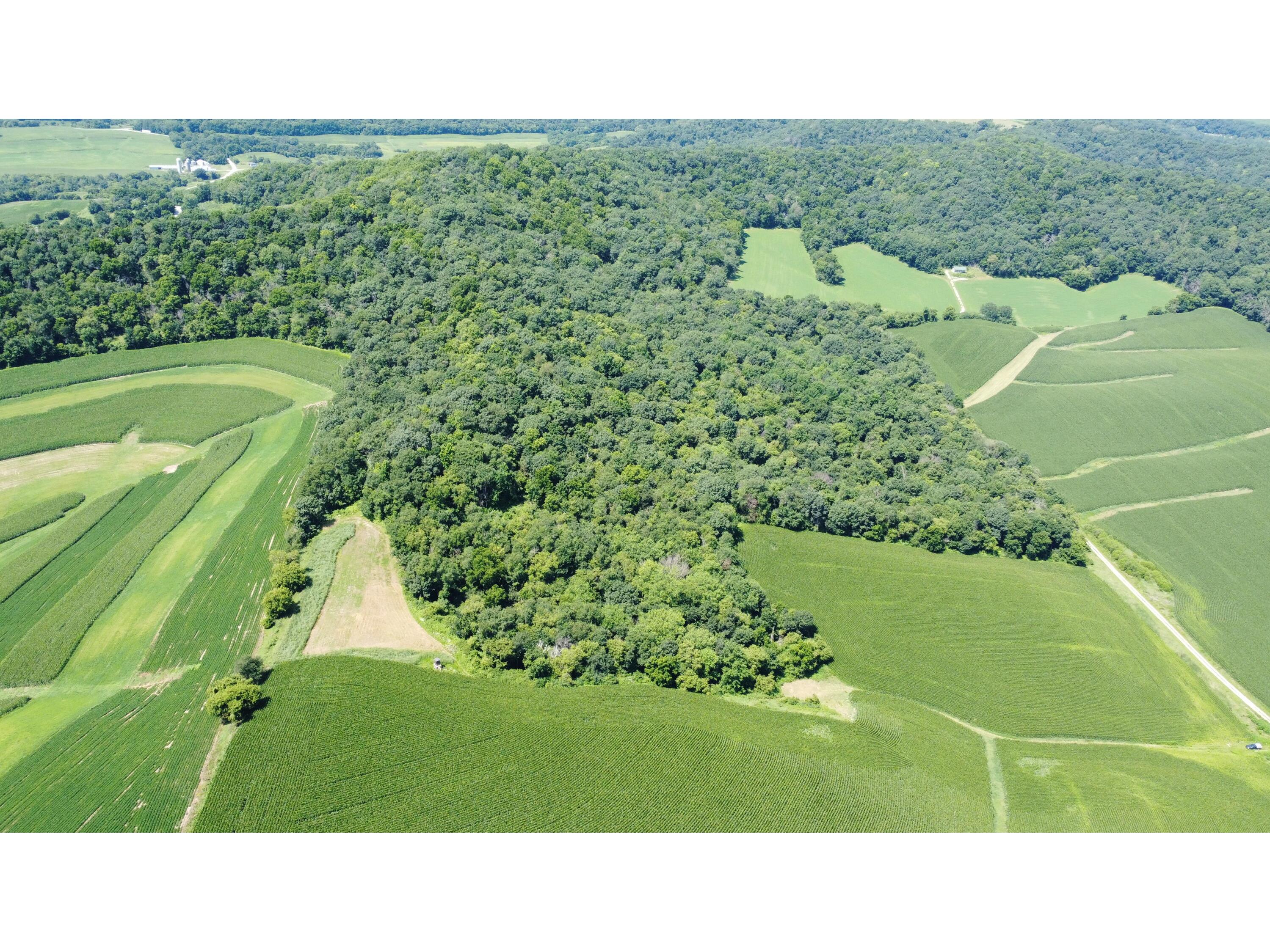 0 Theurer Glencoe WI 54612 1929019 image1