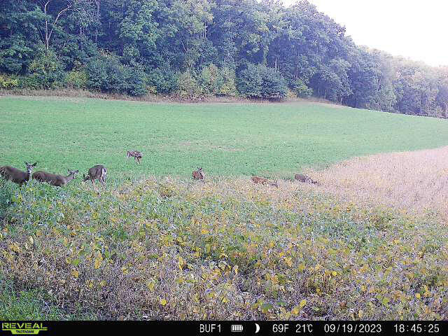 0 Theurer Glencoe WI 54612 1953748 image10
