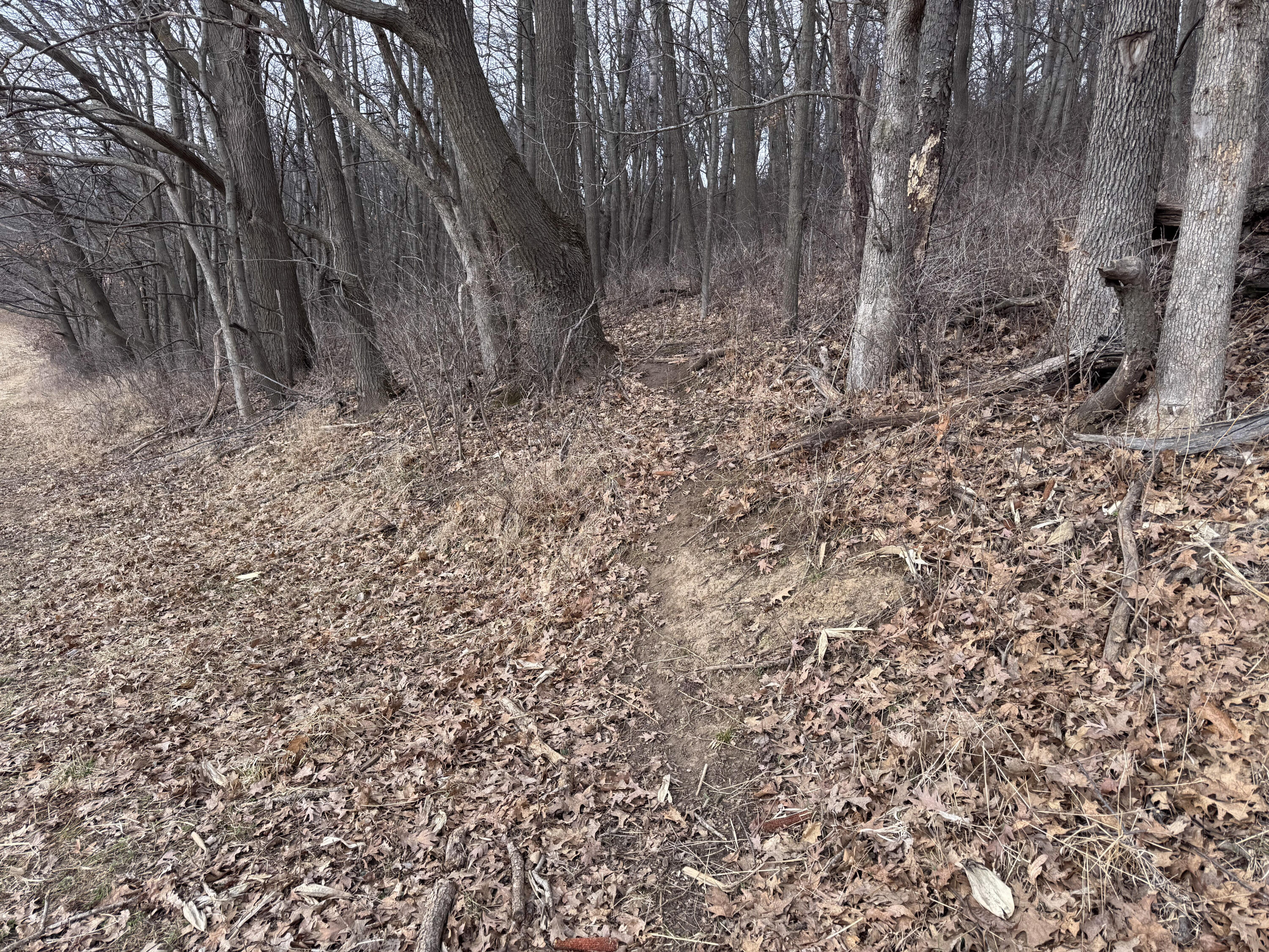 0 Theurer Glencoe WI 54612 1953748 image11