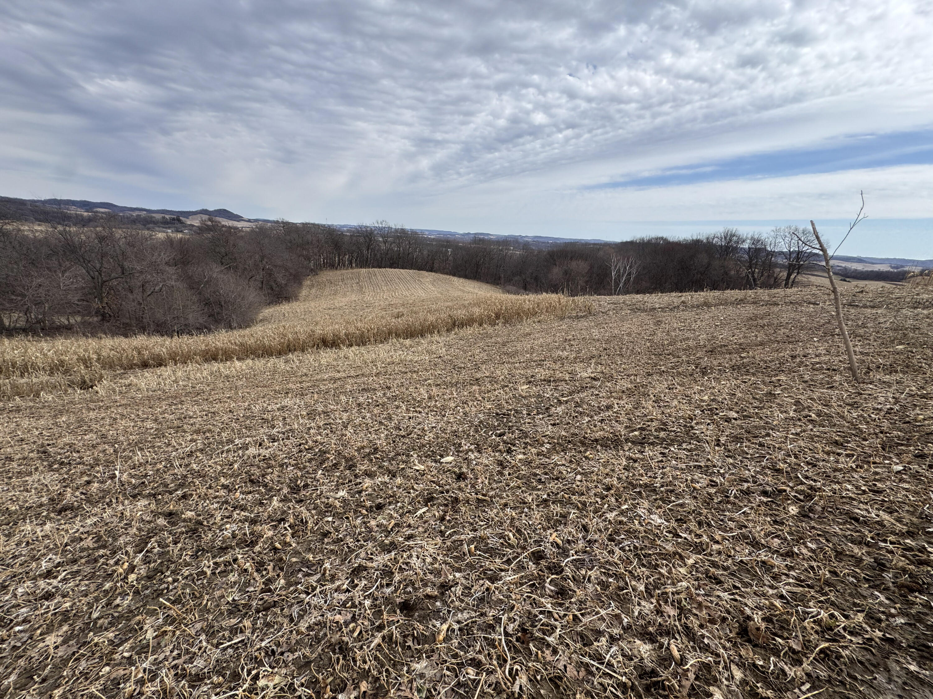 0 Theurer Glencoe WI 54612 1953748 image13