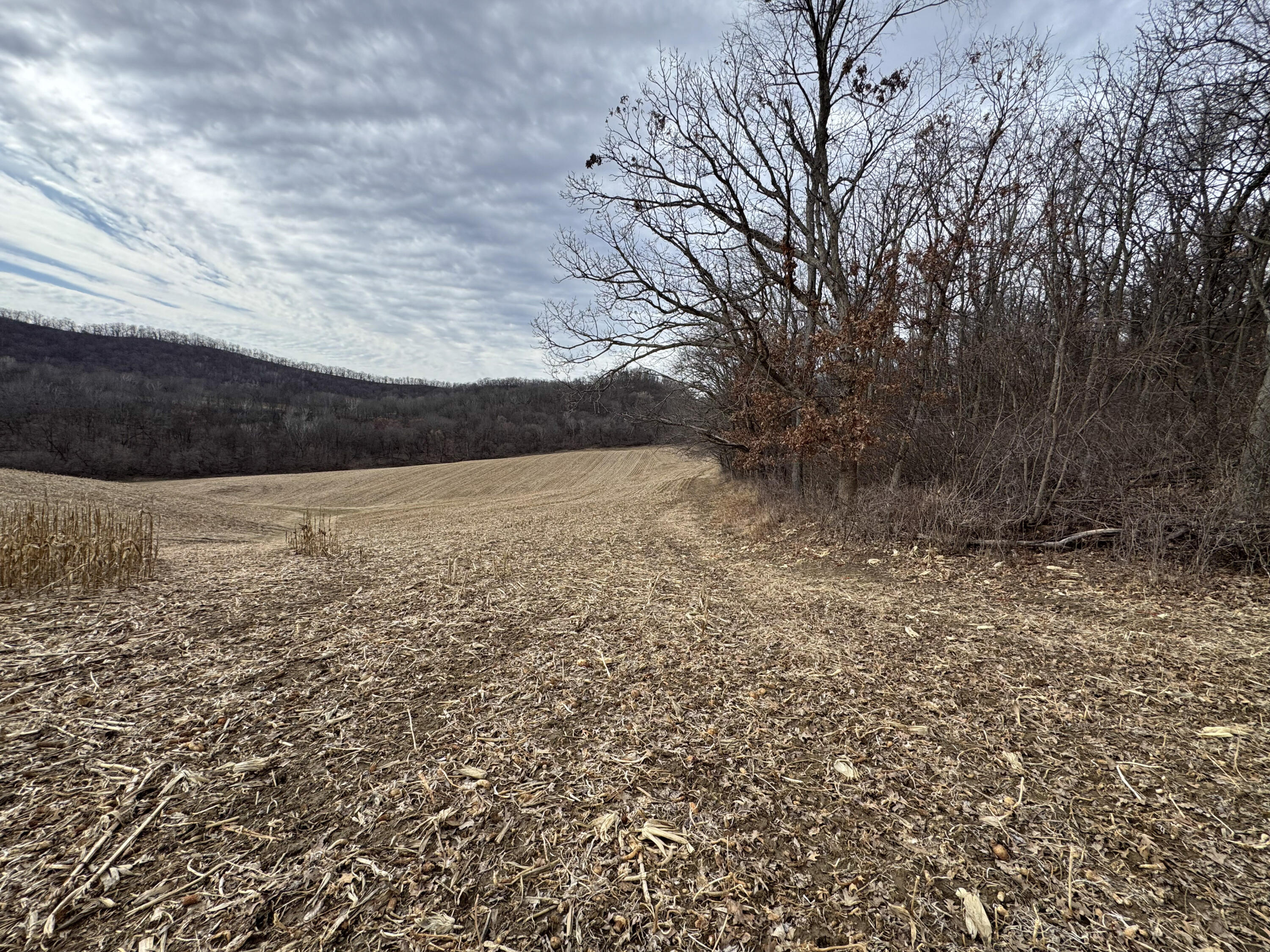 0 Theurer Glencoe WI 54612 1953748 image14