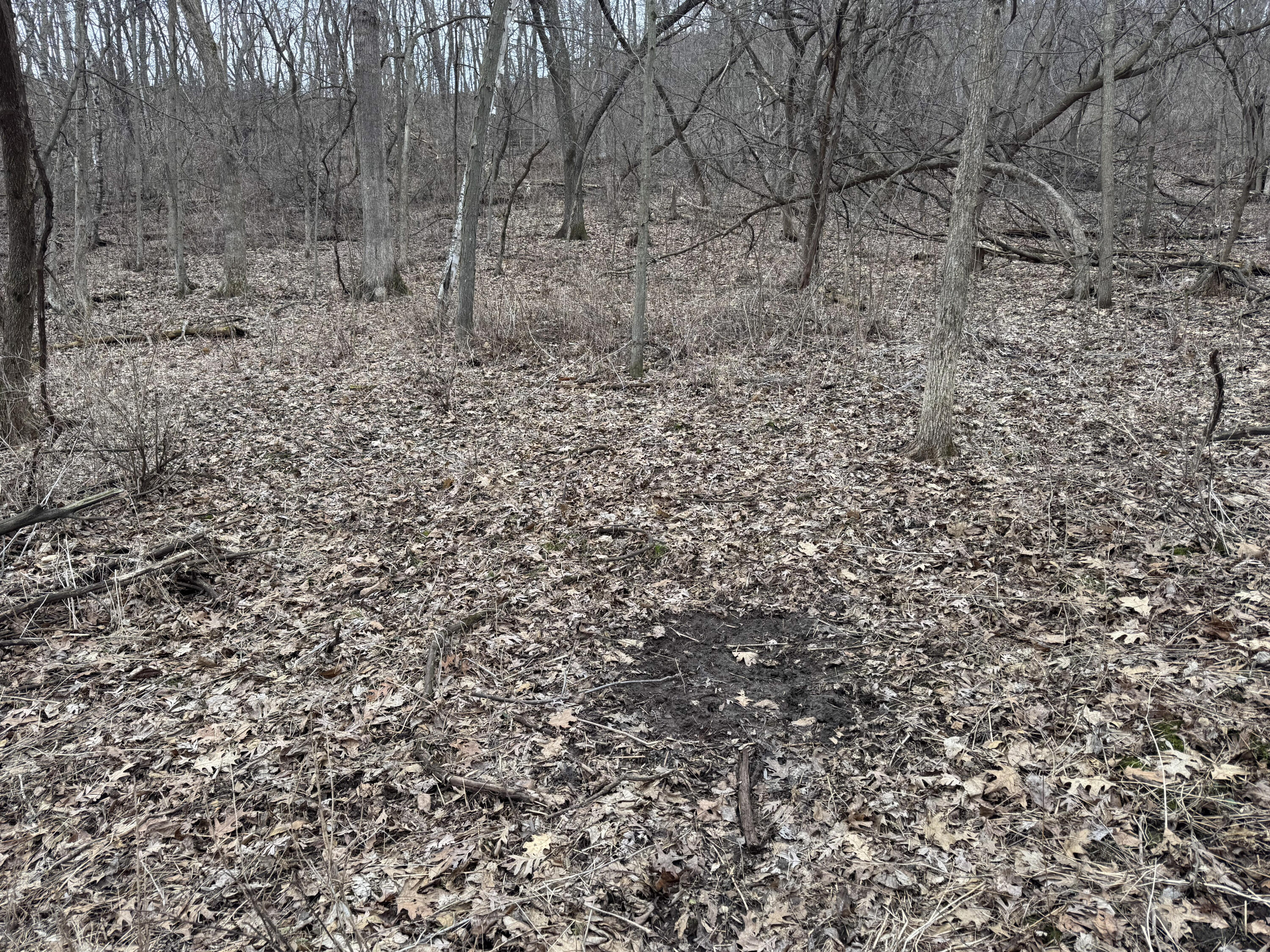 0 Theurer Glencoe WI 54612 1953748 image15