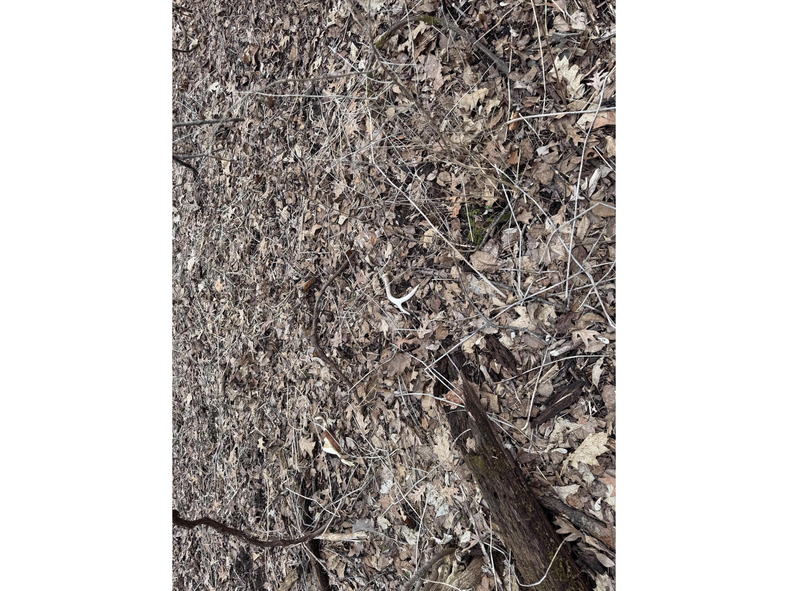 0 Theurer Glencoe WI 54612 1953748 image17