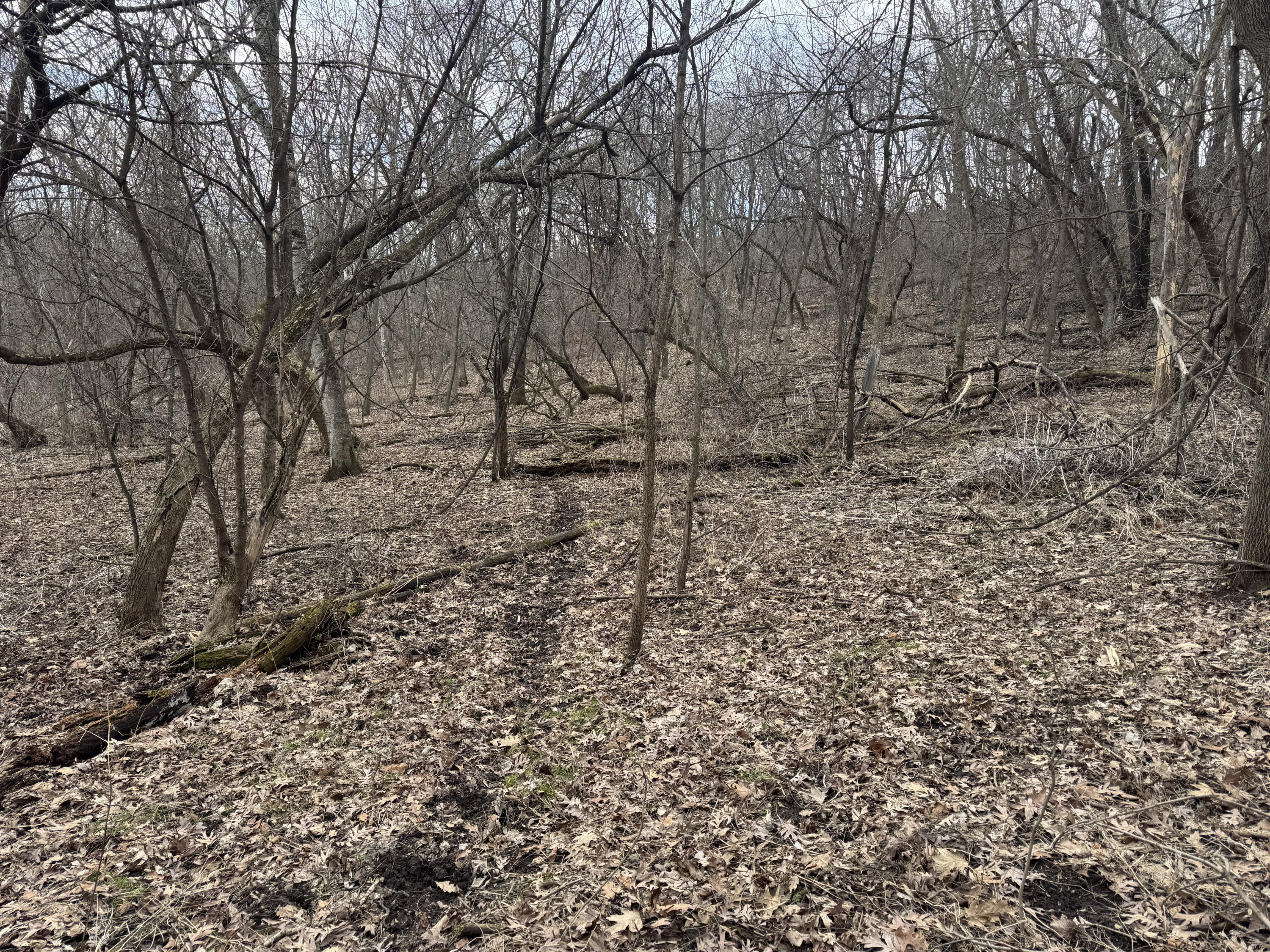 0 Theurer Glencoe WI 54612 1953748 image19