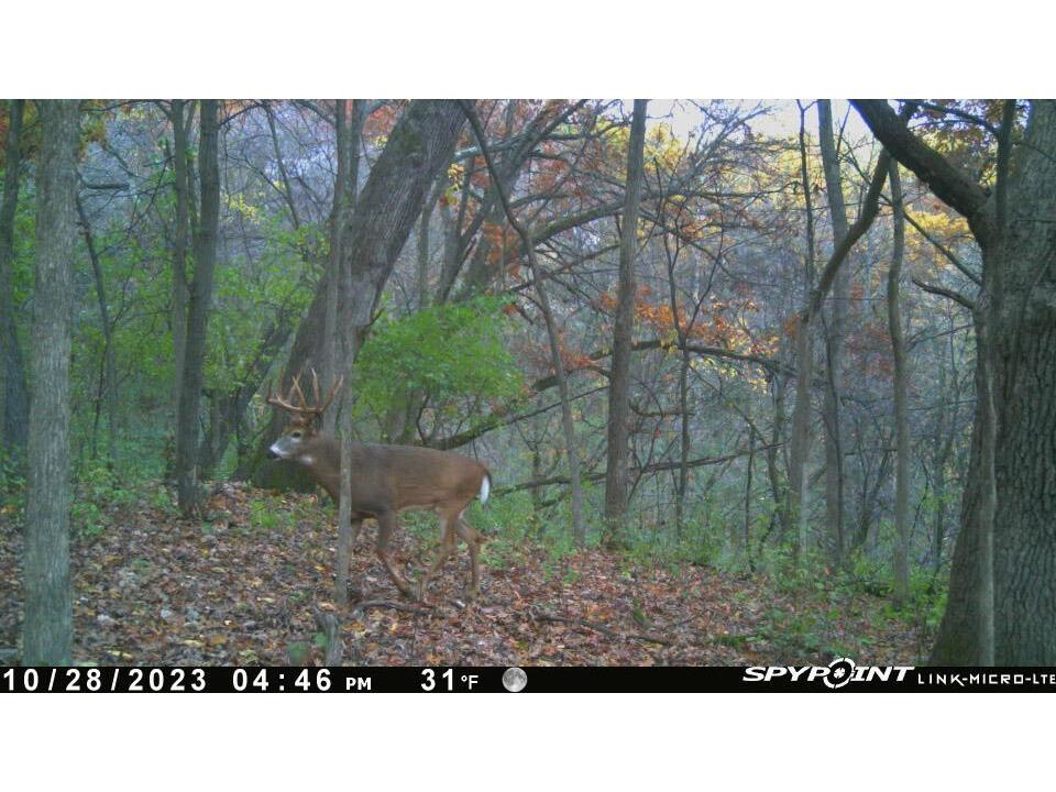 0 Theurer Glencoe WI 54612 1953748 image2