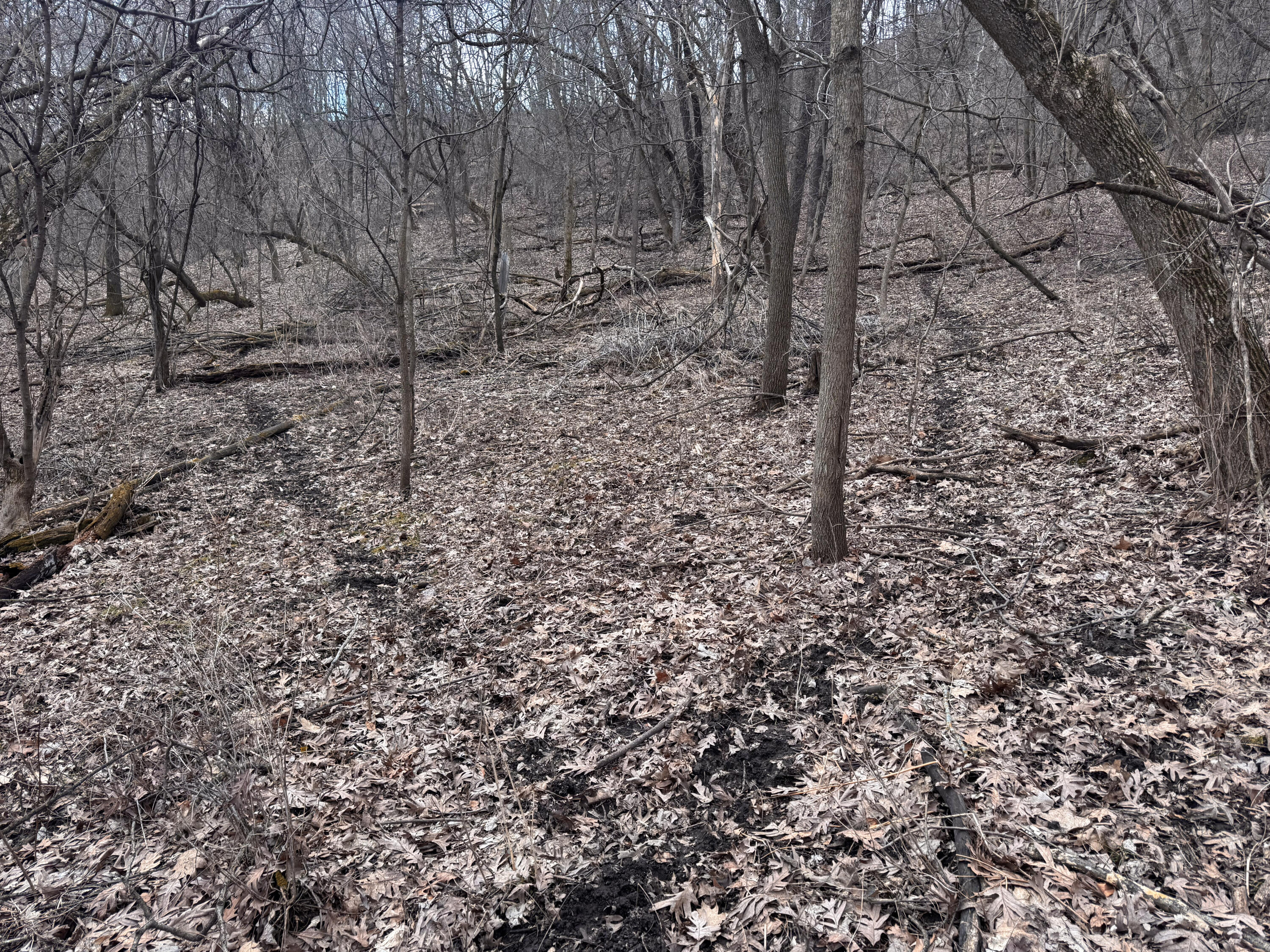 0 Theurer Glencoe WI 54612 1953748 image20