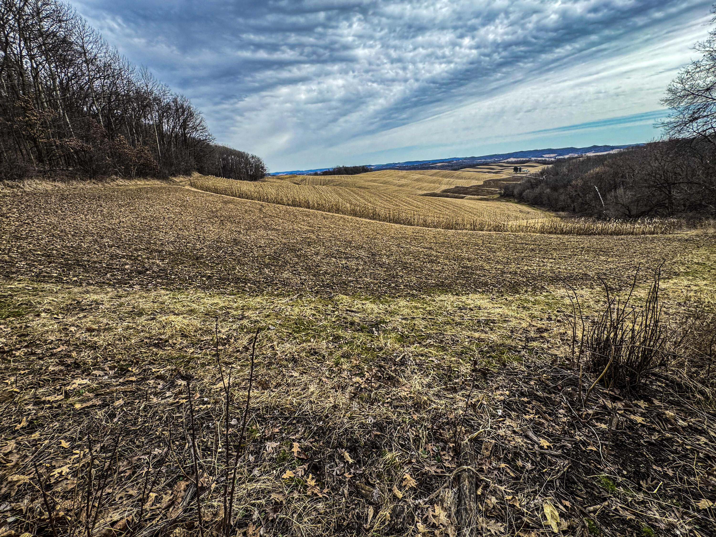 0 Theurer Glencoe WI 54612 1953748 image21