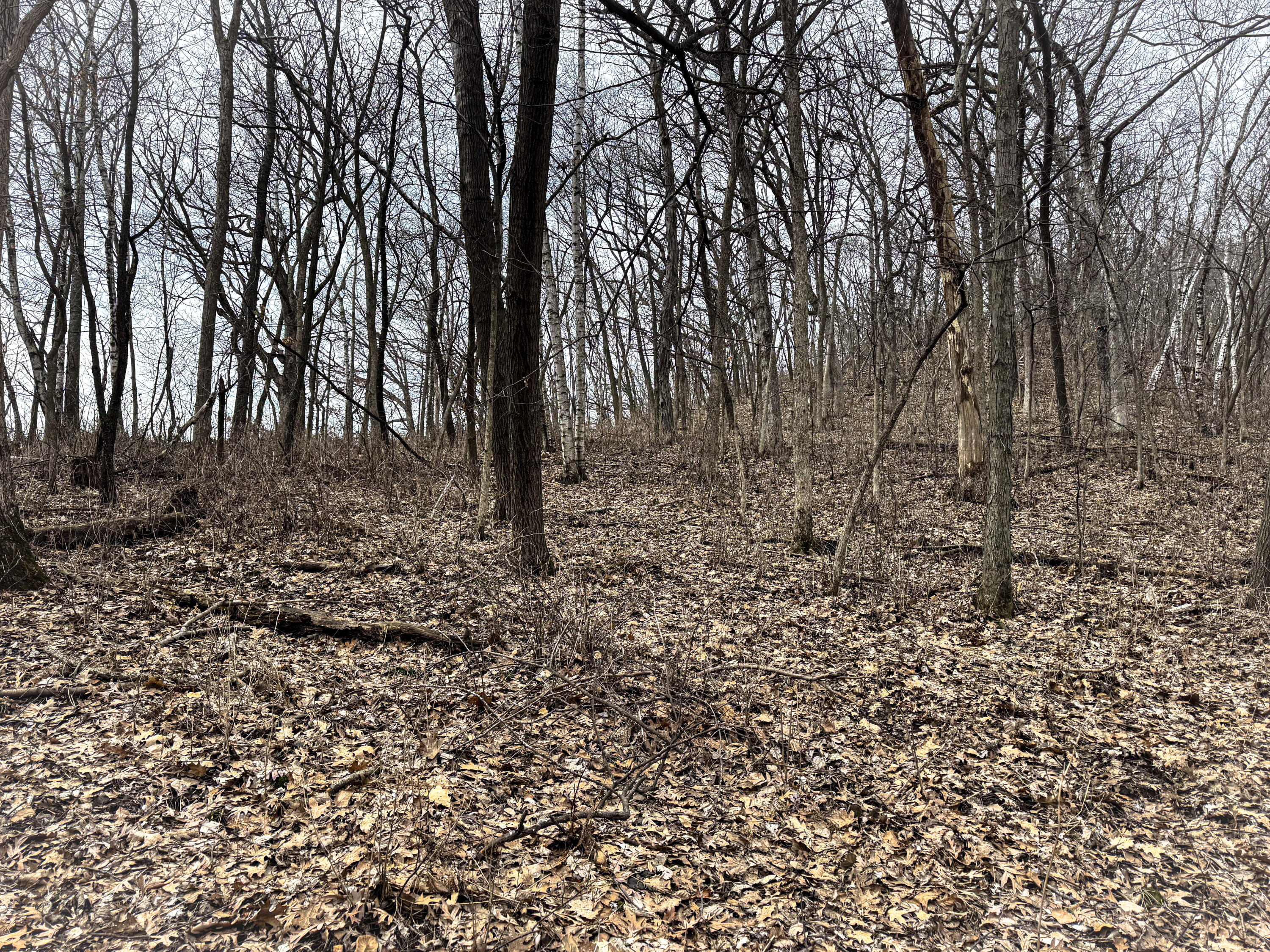 0 Theurer Glencoe WI 54612 1953748 image24