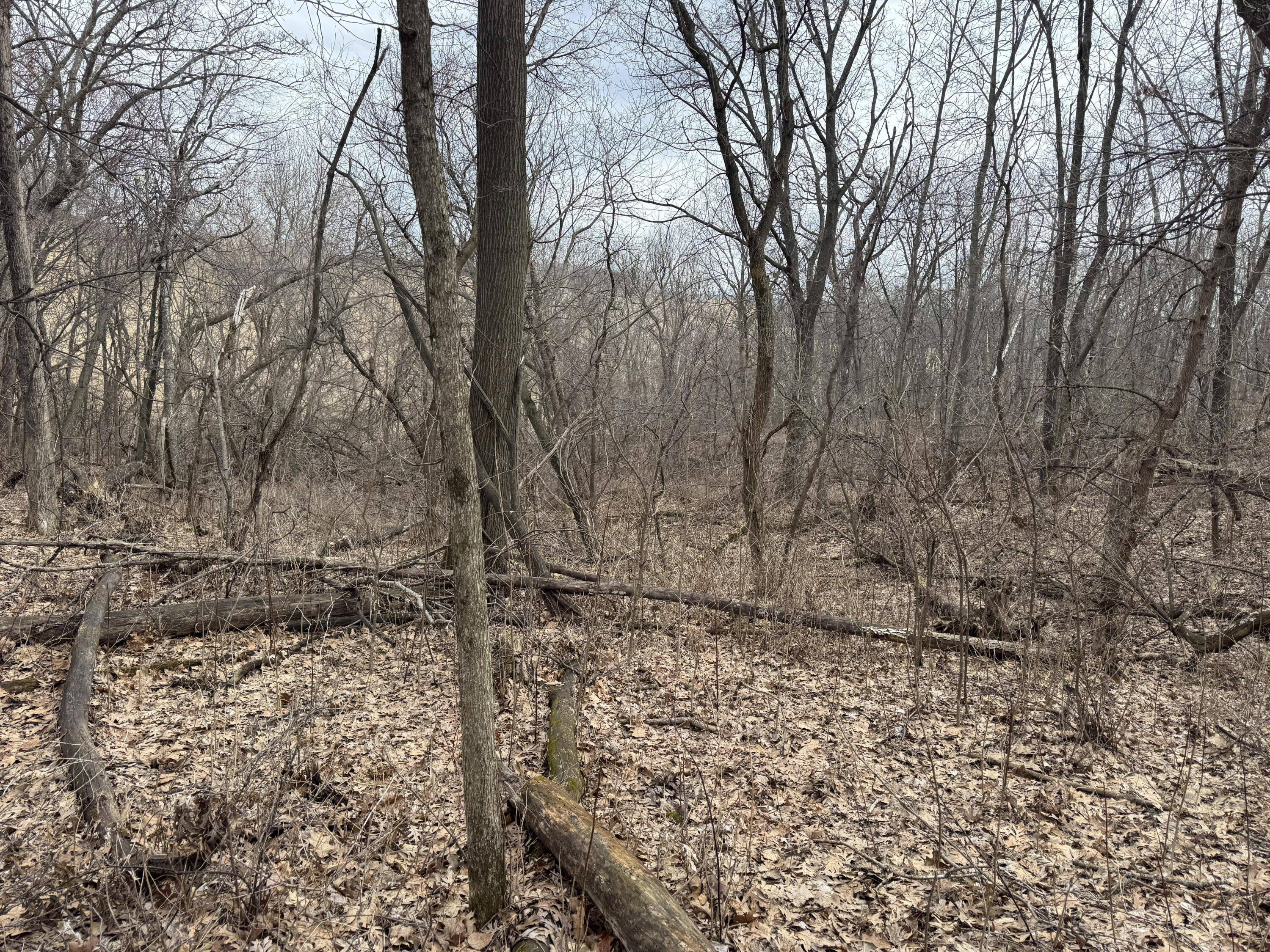 0 Theurer Glencoe WI 54612 1953748 image25