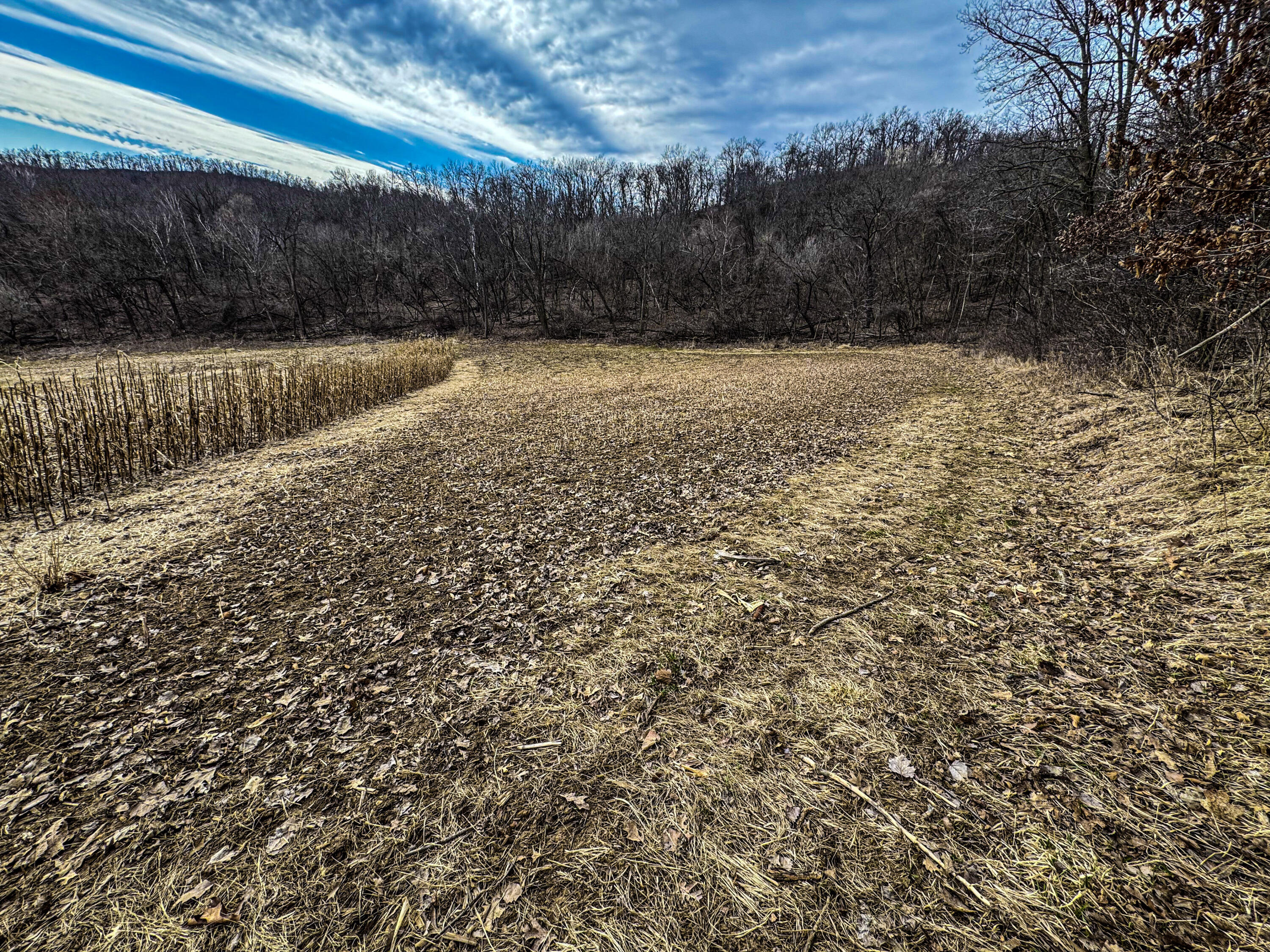 0 Theurer Glencoe WI 54612 1953748 image3