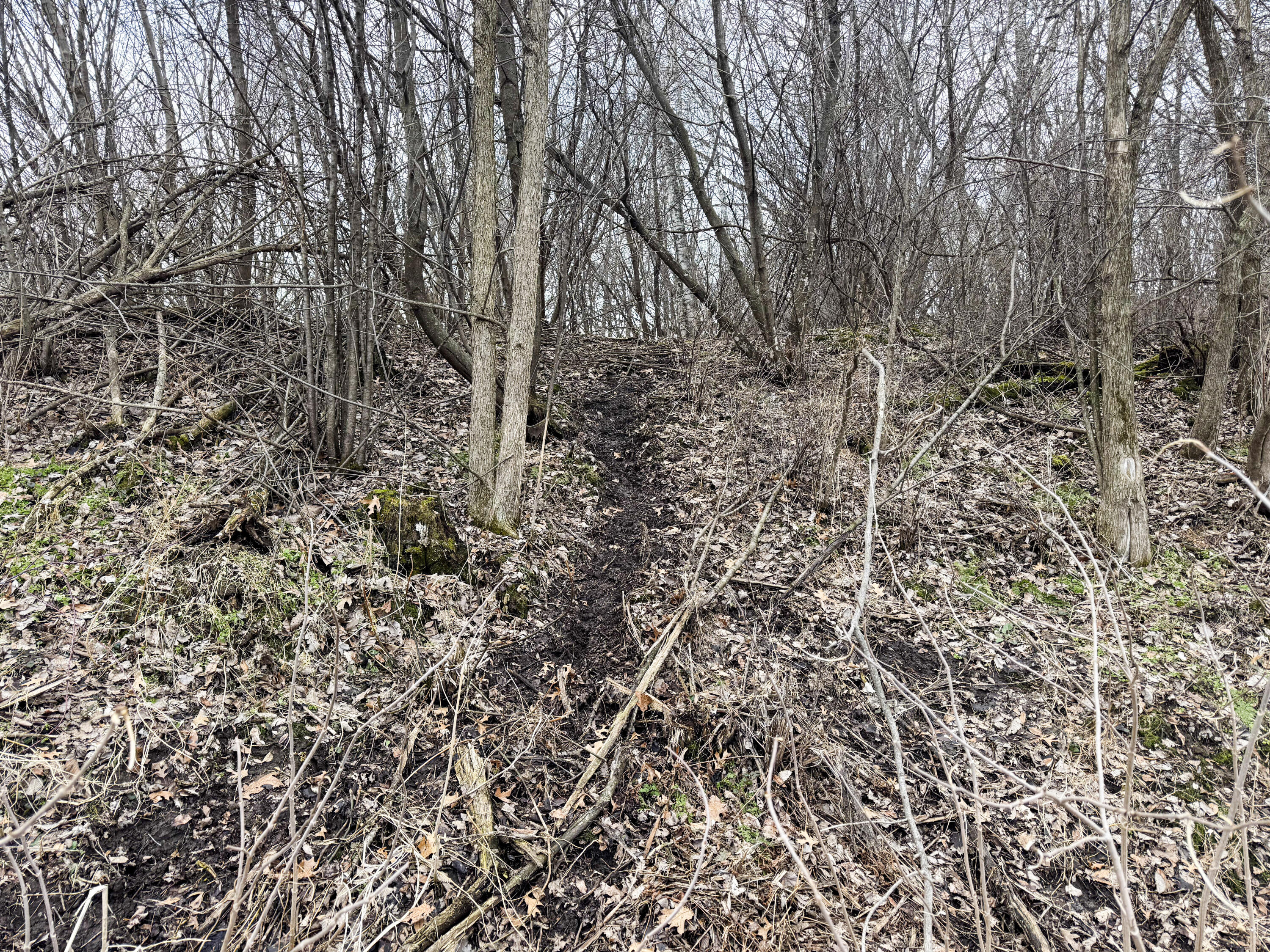 0 Theurer Glencoe WI 54612 1953748 image36