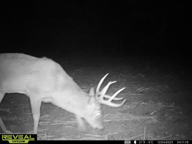 0 Theurer Glencoe WI 54612 1953748 image43