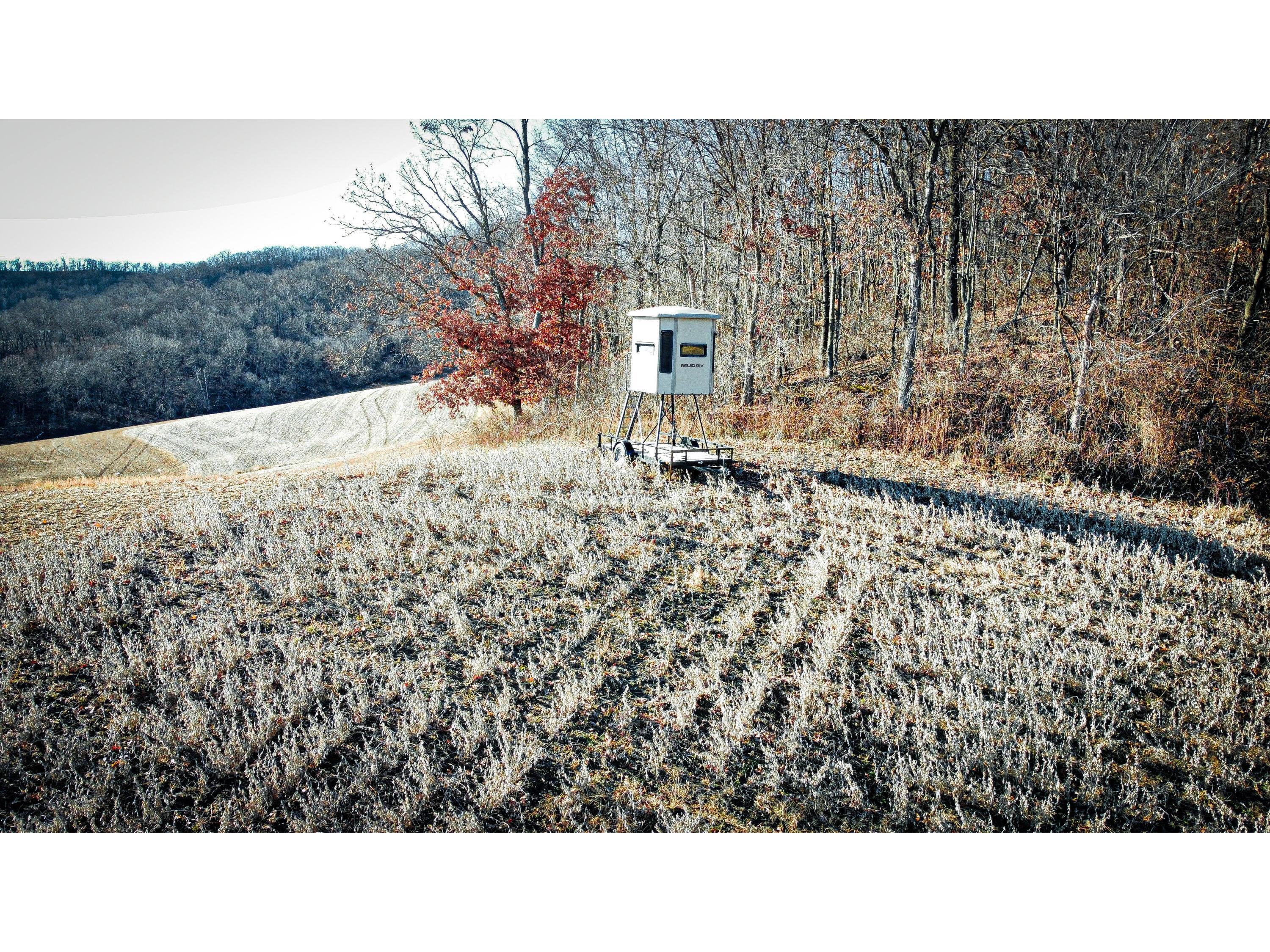 0 Theurer Glencoe WI 54612 1953748 image47