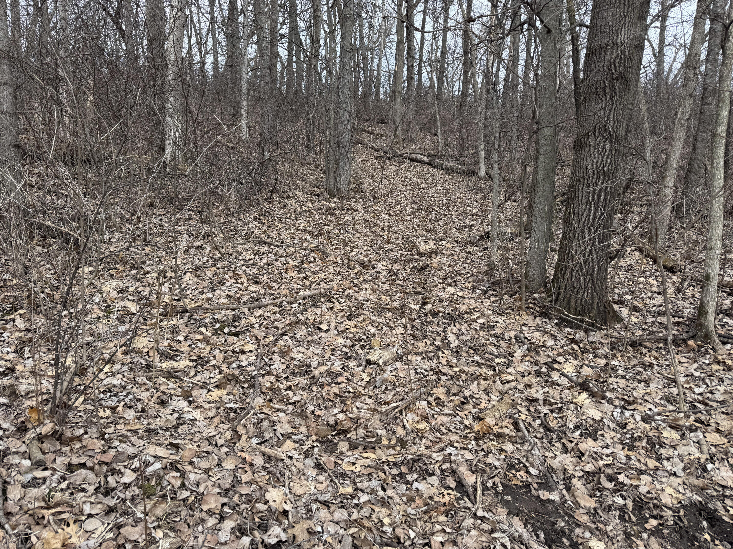 0 Theurer Glencoe WI 54612 1953748 image7