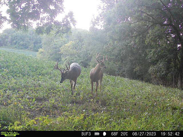 0 Theurer Glencoe WI 54612 1953748 image8