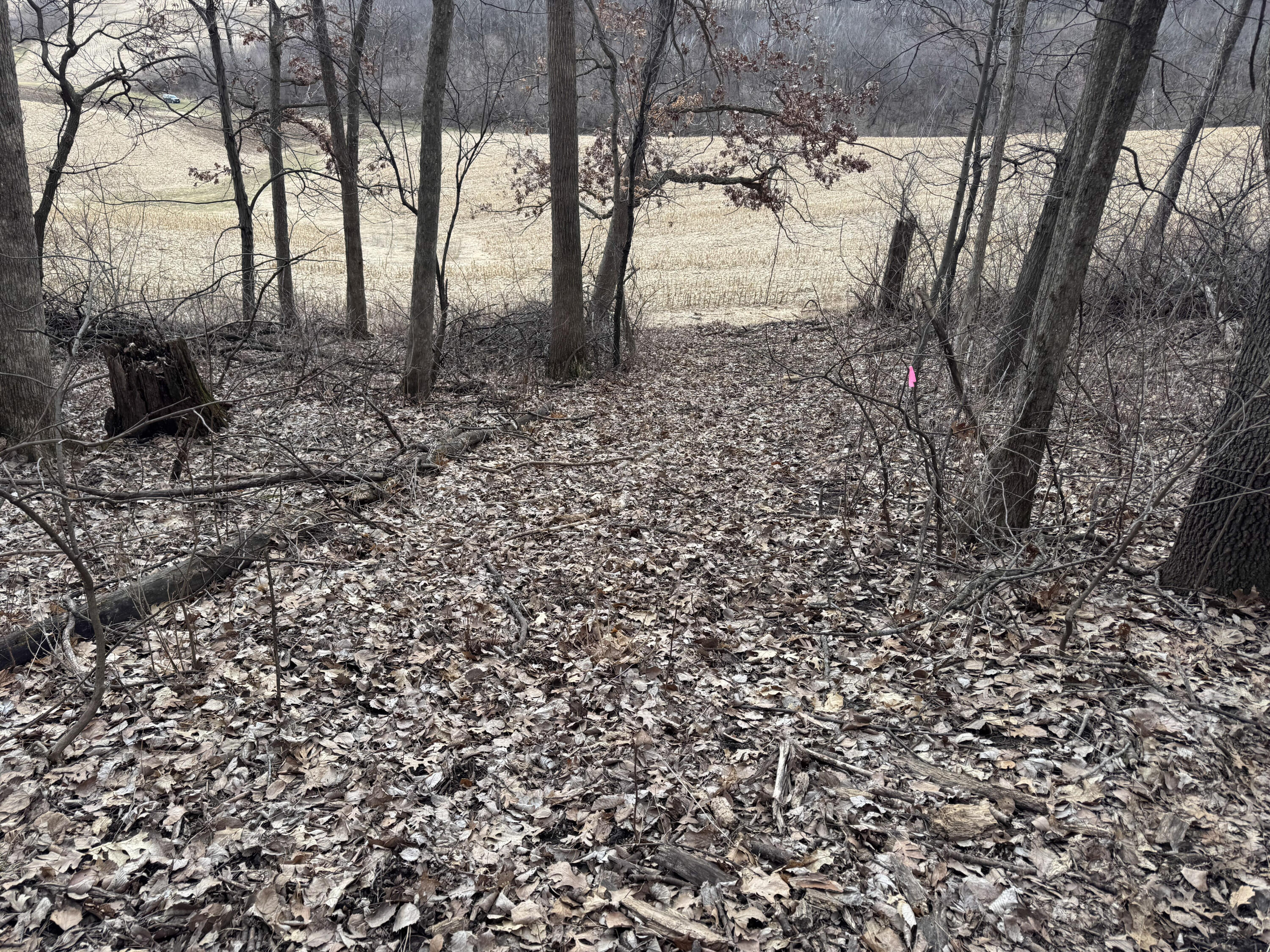 0 Theurer Glencoe WI 54612 1953748 image9