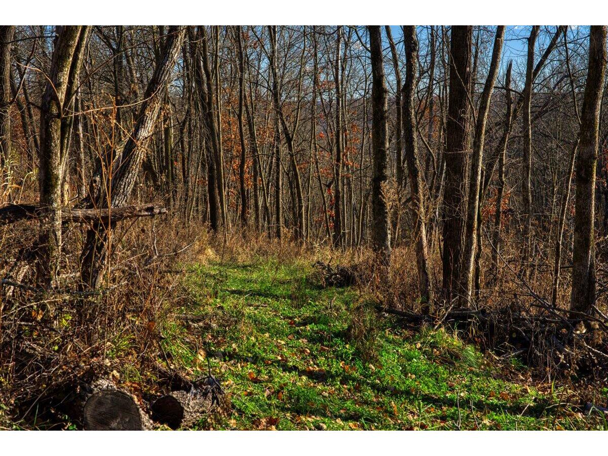 0 Turben Ridge Clayton WI 54655 1942897 image1