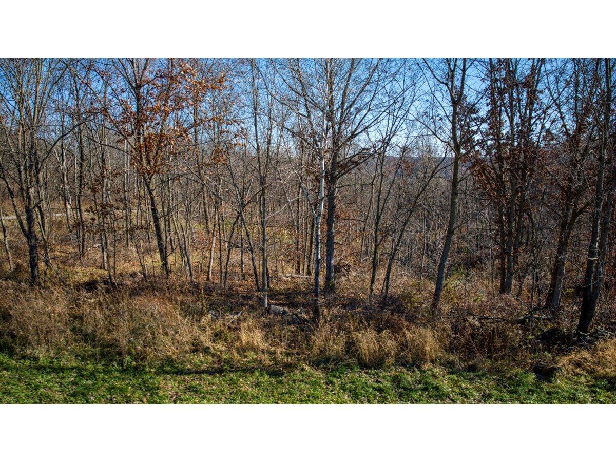 0 Turben Ridge Clayton WI 54655 1942897 image13