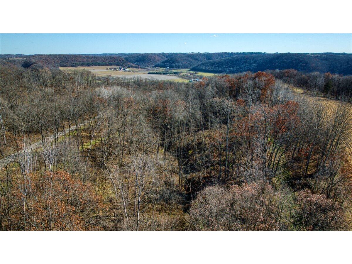 0 Turben Ridge Clayton WI 54655 1942897 image14