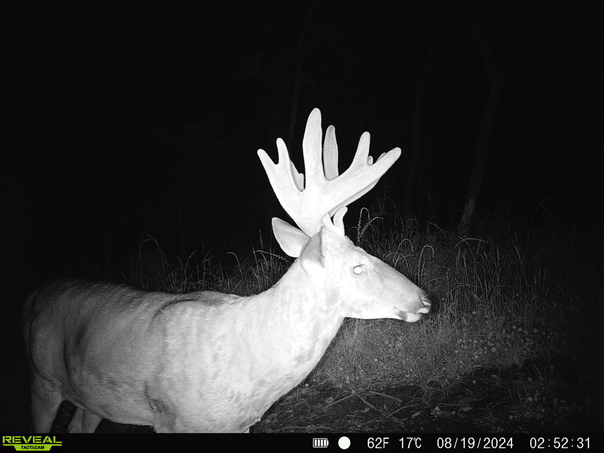 0 Turben Ridge Clayton WI 54655 1942897 image15