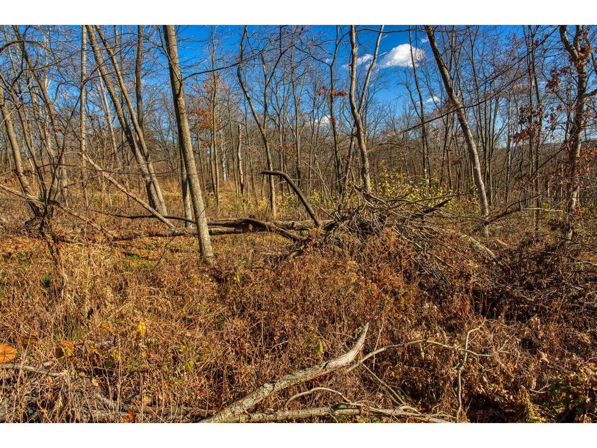 0 Turben Ridge Clayton WI 54655 1942897 image16