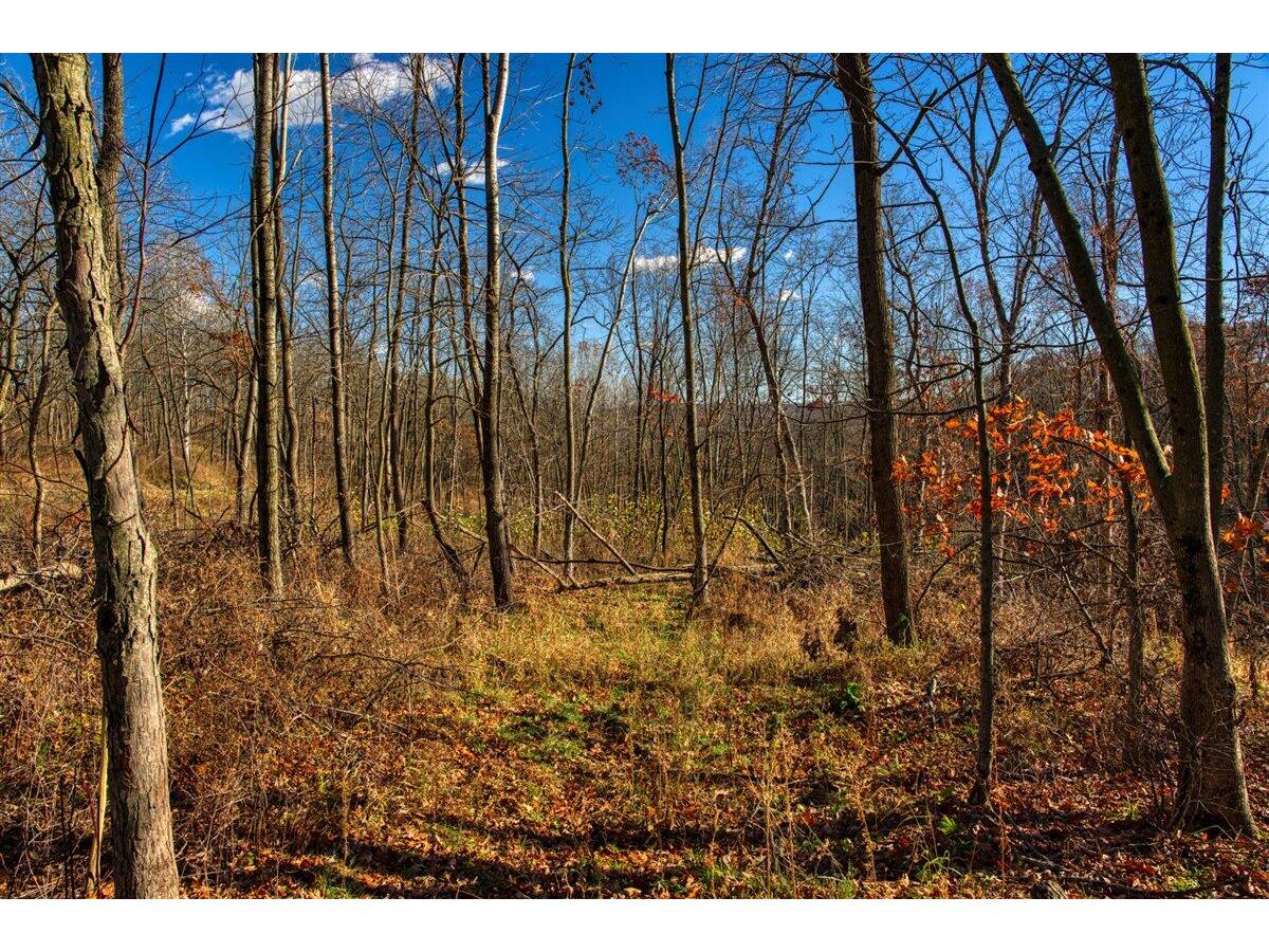 0 Turben Ridge Clayton WI 54655 1942897 image18