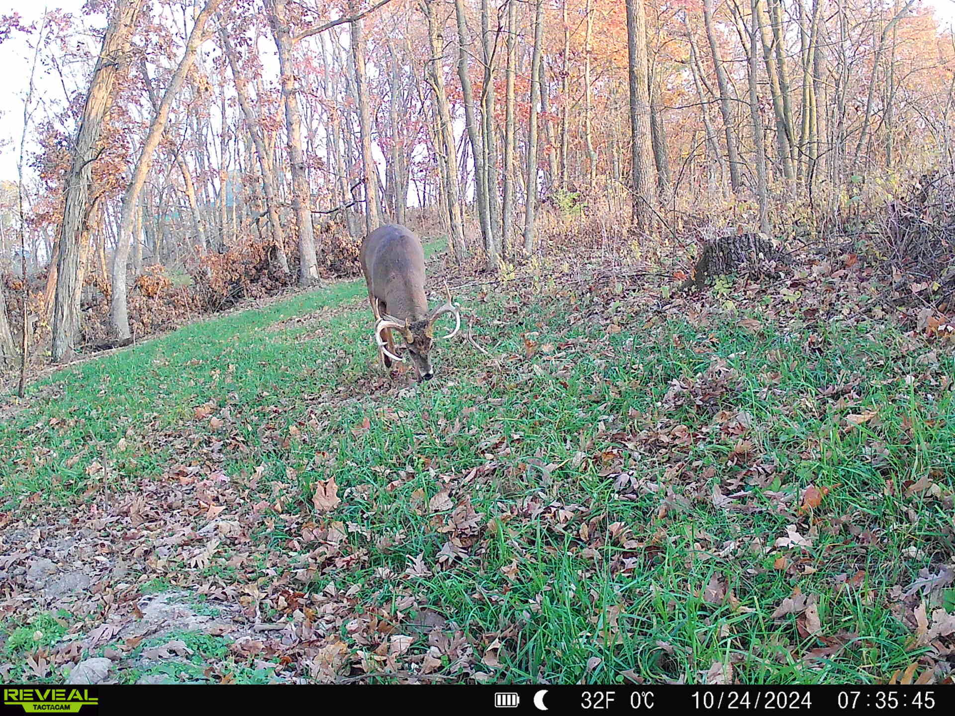 0 Turben Ridge Clayton WI 54655 1942897 image19