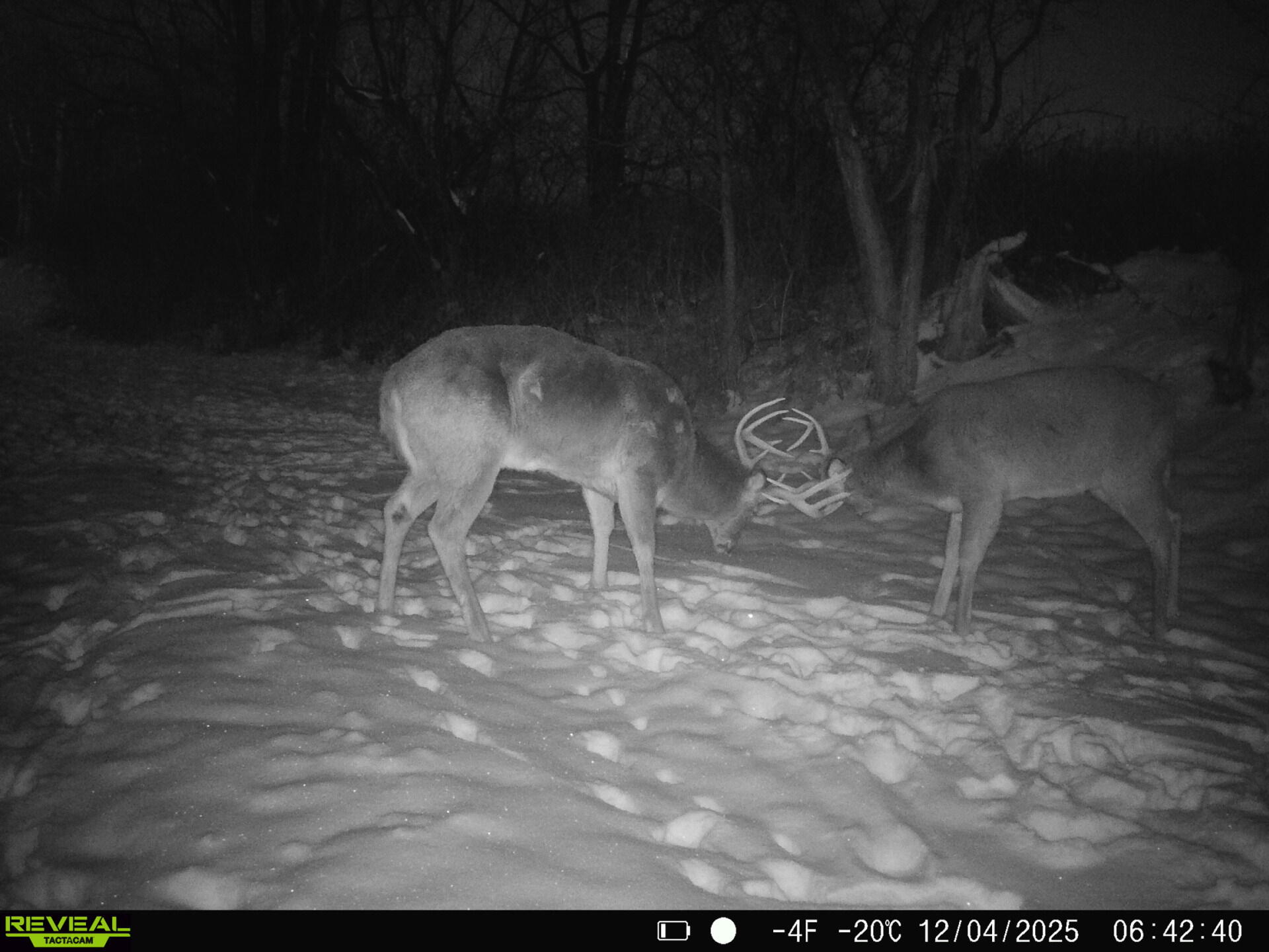 0 Turben Ridge Clayton WI 54655 1942897 image2