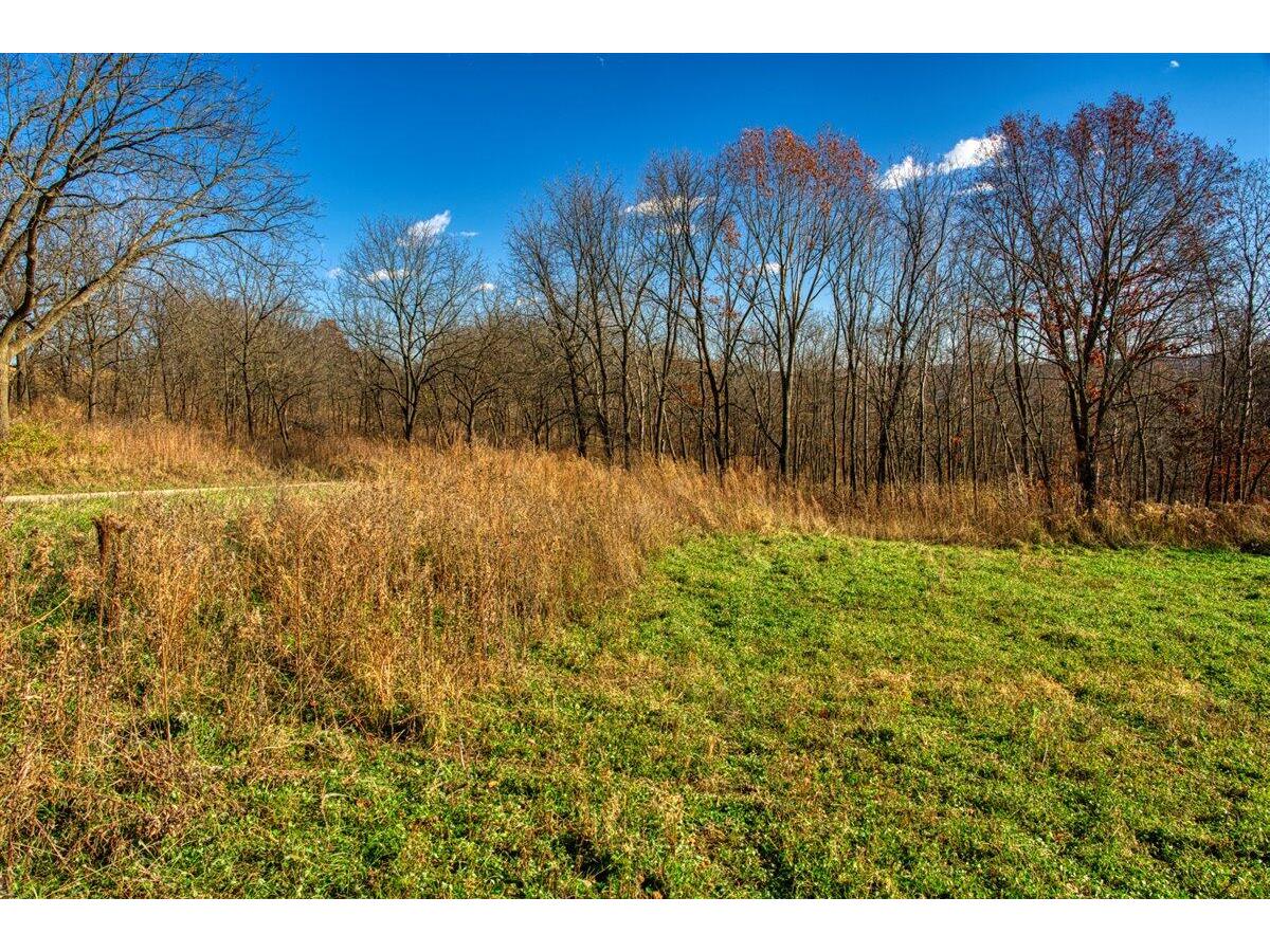 0 Turben Ridge Clayton WI 54655 1942897 image22